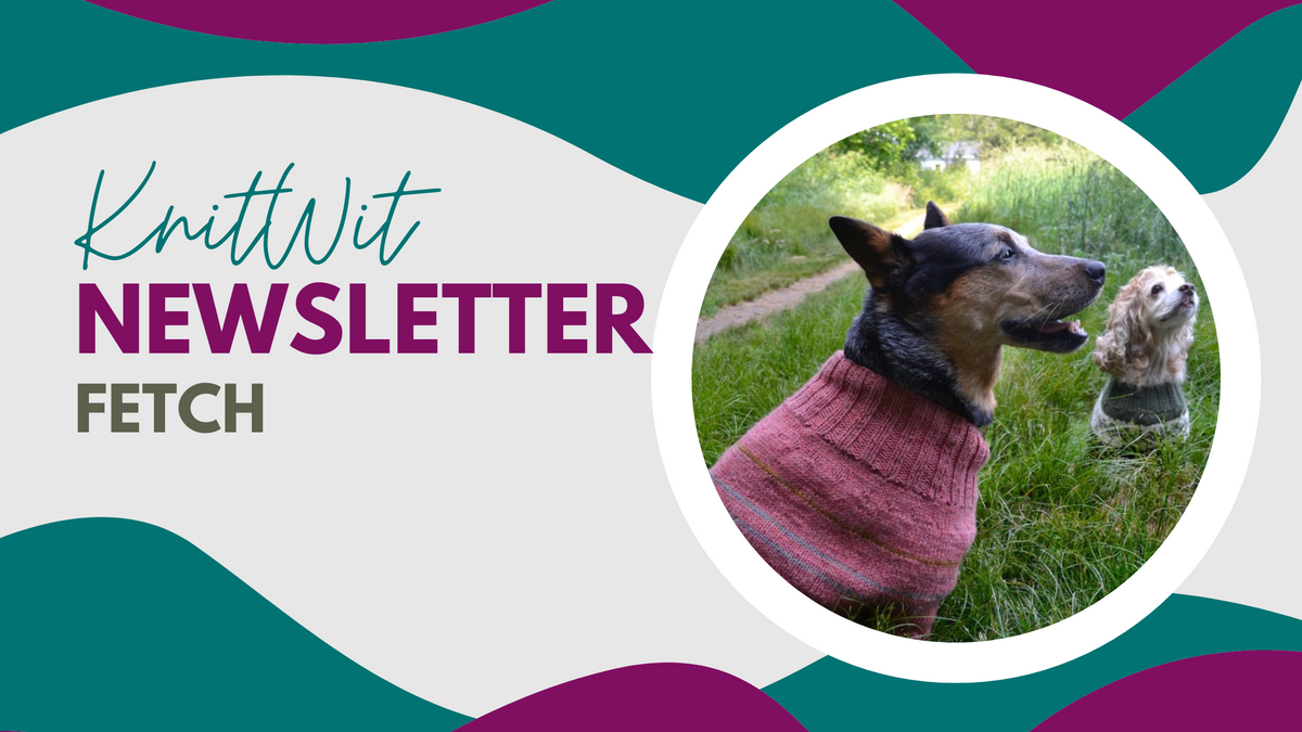 Fetch KnitWit Yarn Shop