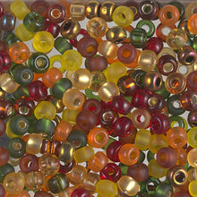 Load image into Gallery viewer, Miyuki 6/0 Seed Beads
