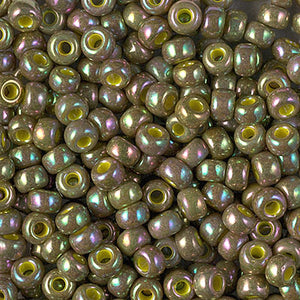 Miyuki 6/0 Seed Beads
