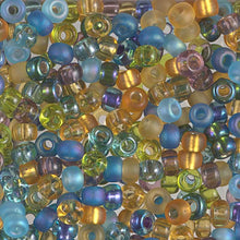 Load image into Gallery viewer, Miyuki 6/0 Seed Beads

