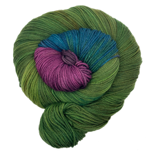 Load image into Gallery viewer, Wonderland Yarns - Colorburst Collection
