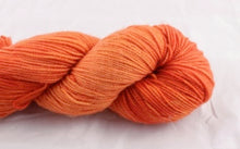 Load image into Gallery viewer, Dirty Water DyeWorks - Lucia DK
