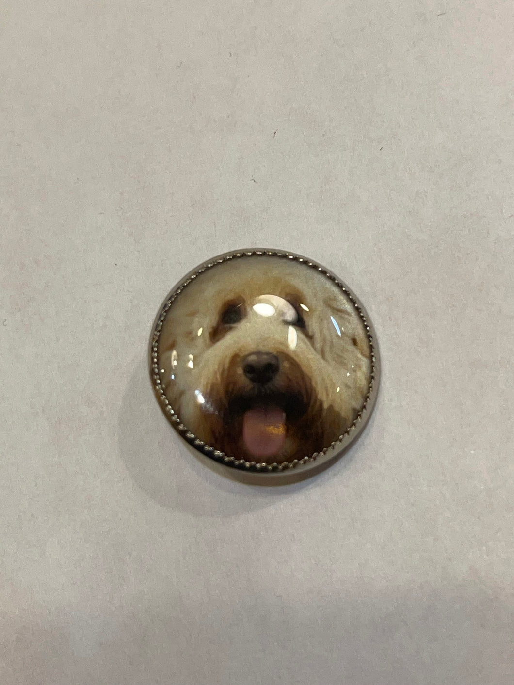 Labradoodle Acrylic Buttons