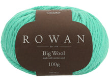 Load image into Gallery viewer, Rowan Big Wool
