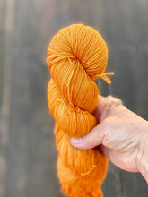 Load image into Gallery viewer, Dirty Water DyeWorks - Fingering Weight Mini Skeins
