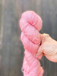 Dirty Water DyeWorks - Fingering Weight Mini Skeins