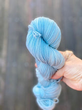 Load image into Gallery viewer, Dirty Water DyeWorks - Fingering Weight Mini Skeins

