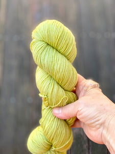 Dirty Water DyeWorks - Fingering Weight Mini Skeins