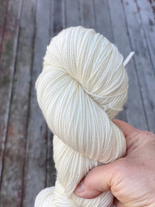 Dirty Water DyeWorks - Fingering Weight Mini Skeins